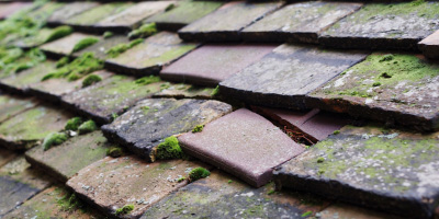 Sewell roof repair costs